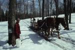 Maple Sugaring 30-20-06018