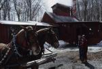 Maple Sugaring 30-20-06020