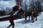 Maple Sugaring 30-20-06035