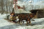 Maple Sugaring 30-20-06060