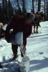 Maple Sugaring 30-20-06092