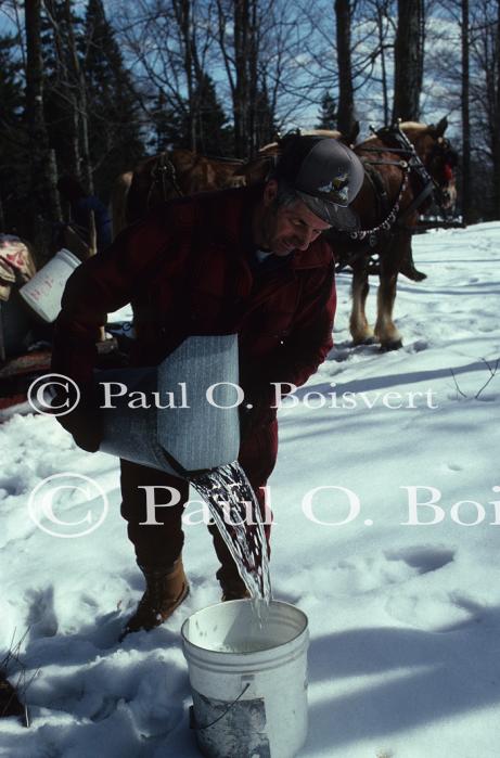 Maple Sugaring 30-20-06092