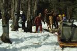 Maple Sugaring 30-20-06228