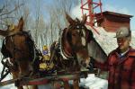 Maple Sugaring 30-20-06240