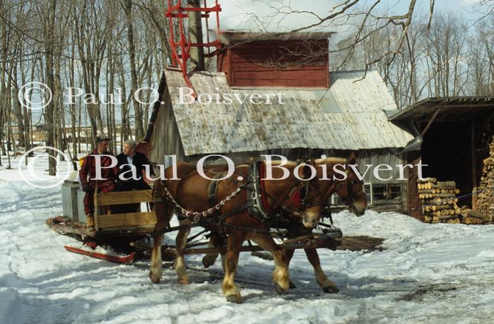 Maple Sugaring 30-20-06270