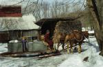 Maple Sugaring 30-20-06271