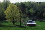 Maple Sugaring 30-20-06615