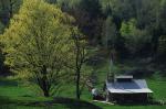 Maple Sugaring 30-20-06625