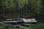 Maple Sugaring 30-20-06639