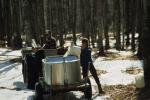 Maple Sugaring 30-20-06760