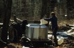 Maple Sugaring 30-20-06764