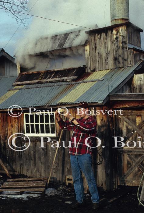 Maple Sugaring 30-20-06806