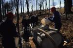 Maple Sugaring 30-20-06860