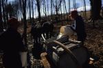 Maple Sugaring 30-20-06958