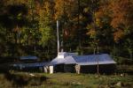 Maple Sugaring 30-20-07146