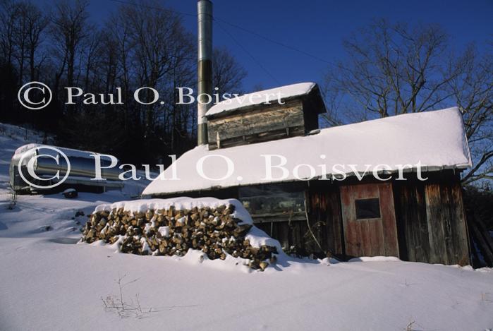 Maple Sugaring 30-20-07225