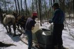 Maple Sugaring 30-20-07674