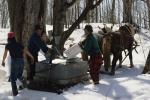 Maple Sugaring 30-20-07722