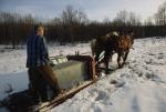 Maple Sugaring 30-20-07773