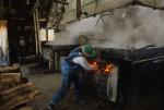 Maple Sugaring 30-20-07823