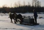 Maple Sugaring 30-20-07845