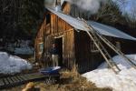 Maple Sugaring 30-20-08050