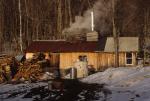 Maple Sugaring 30-20-08109