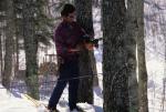 Maple Sugaring 30-20-08634