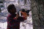 Maple Sugaring 30-20-08651