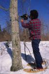 Maple Sugaring 30-20-