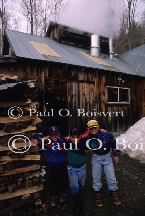 Maple Sugaring 30-20-08723