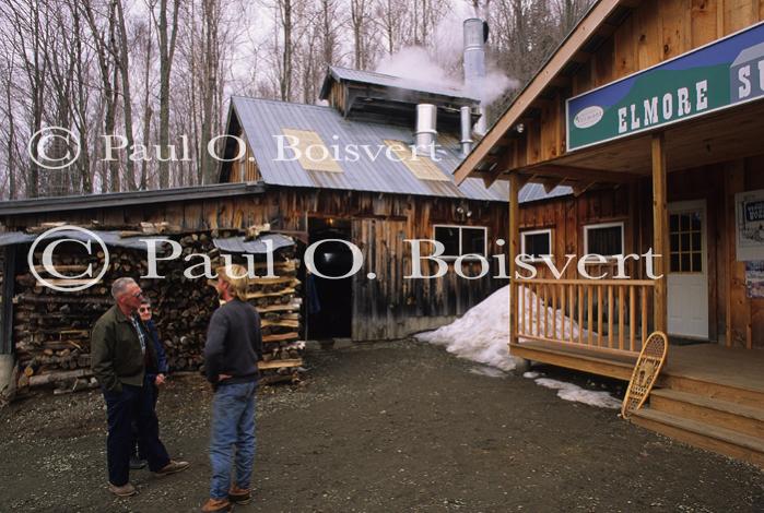 Maple Sugaring 30-20-08739