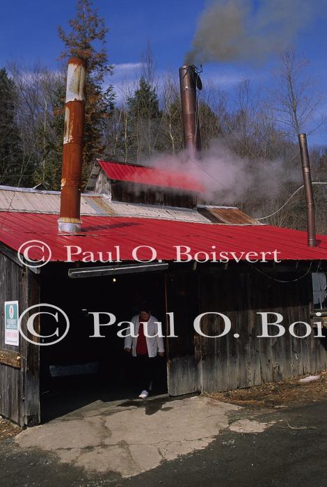 Maple Sugaring 30-20-08791