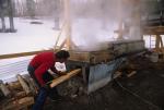 Maple Sugaring 30-20-09099