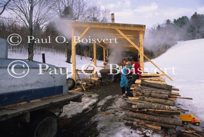 Maple Sugaring 30-20-09125