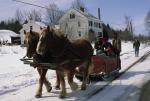 Maple Sugaring 30-20-09468