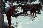 Maple Sugaring 30-20-09559