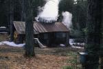 Maple Sugaring 30-20-10003