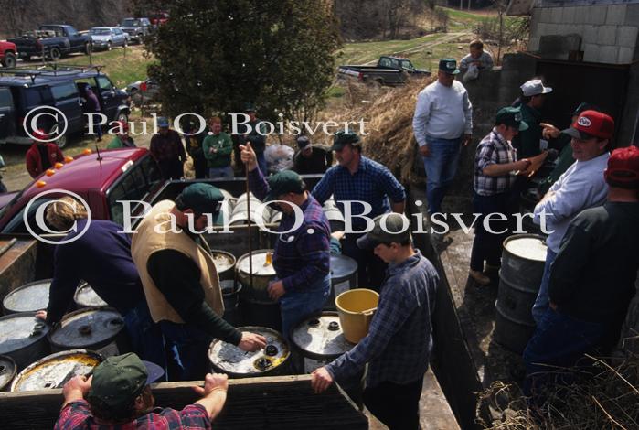 Maple Sugaring 30-20-10014