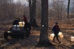 Maple Sugaring 30-20-10037