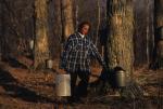 Maple Sugaring 30-20-10041