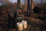 Maple Sugaring 30-20-10052