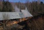 Maple Sugaring 30-20-10081