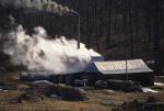 Maple Sugaring 30-20-10120