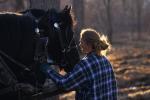 Maple Sugaring 30-20-10144