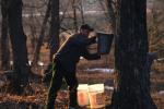 Maple Sugaring 30-20-10145