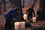 Maple Sugaring 30-20-10151