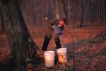 Maple Sugaring 30-20-10153