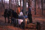 Maple Sugaring 30-20-10156