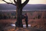 Maple Sugaring 30-20-10158